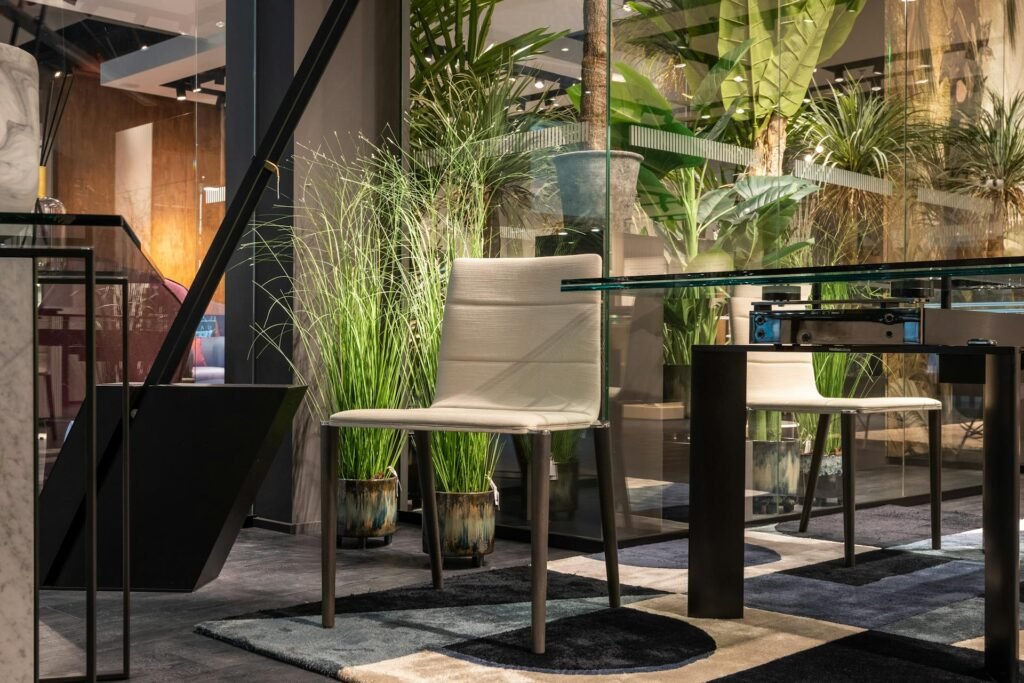 Plantas que combinam com ambientes internos